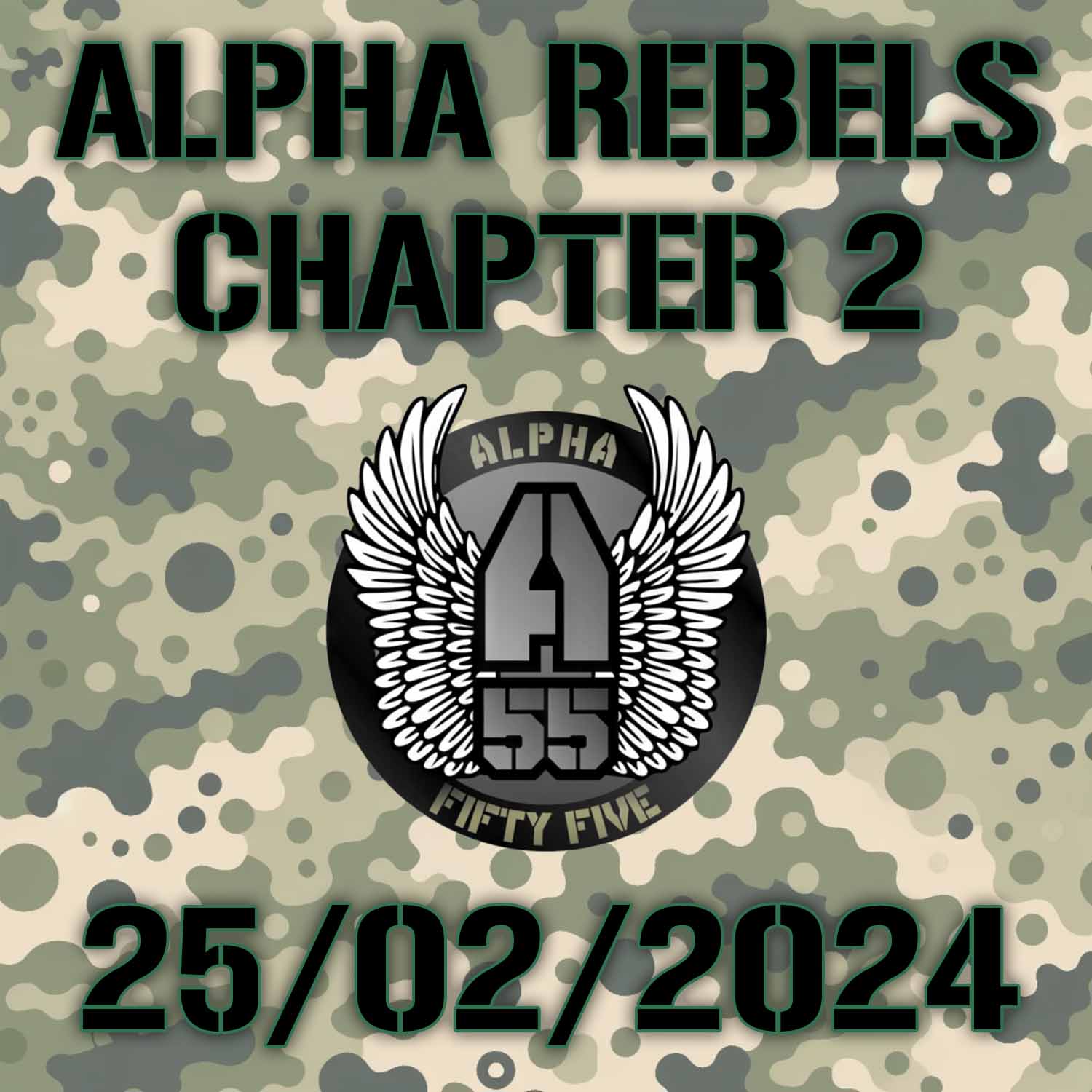 The RAID - Alpha Rebels  - 25/02/2024